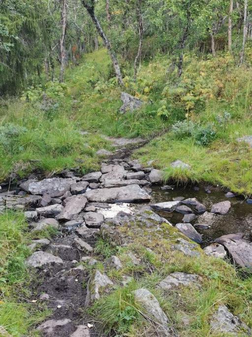 Na Er Vinteren Kommet Til Hallingdal 알 외부 사진