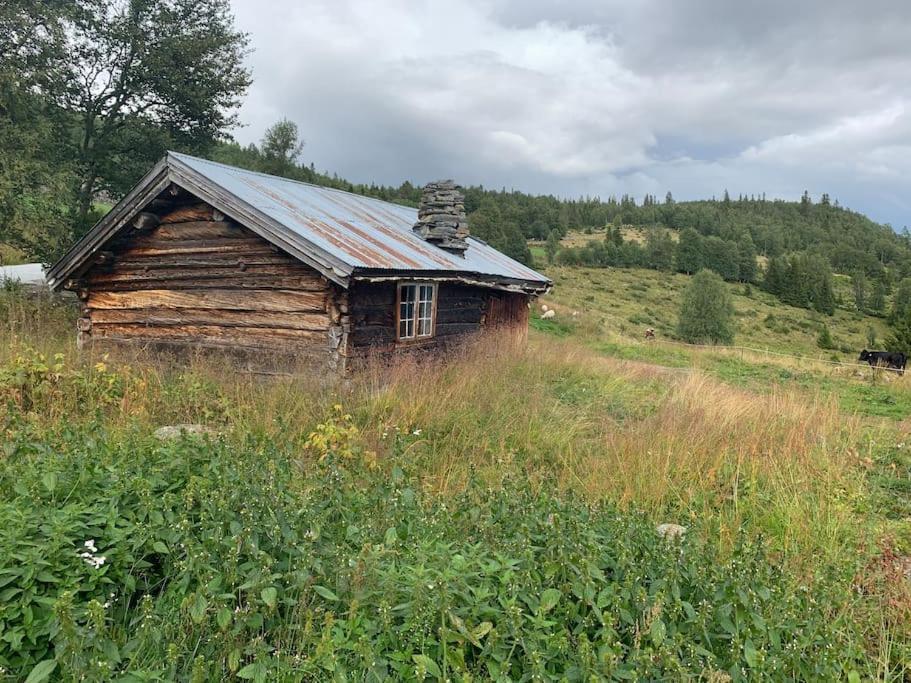 Na Er Vinteren Kommet Til Hallingdal 알 외부 사진