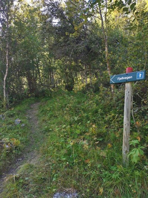 Na Er Vinteren Kommet Til Hallingdal 알 외부 사진