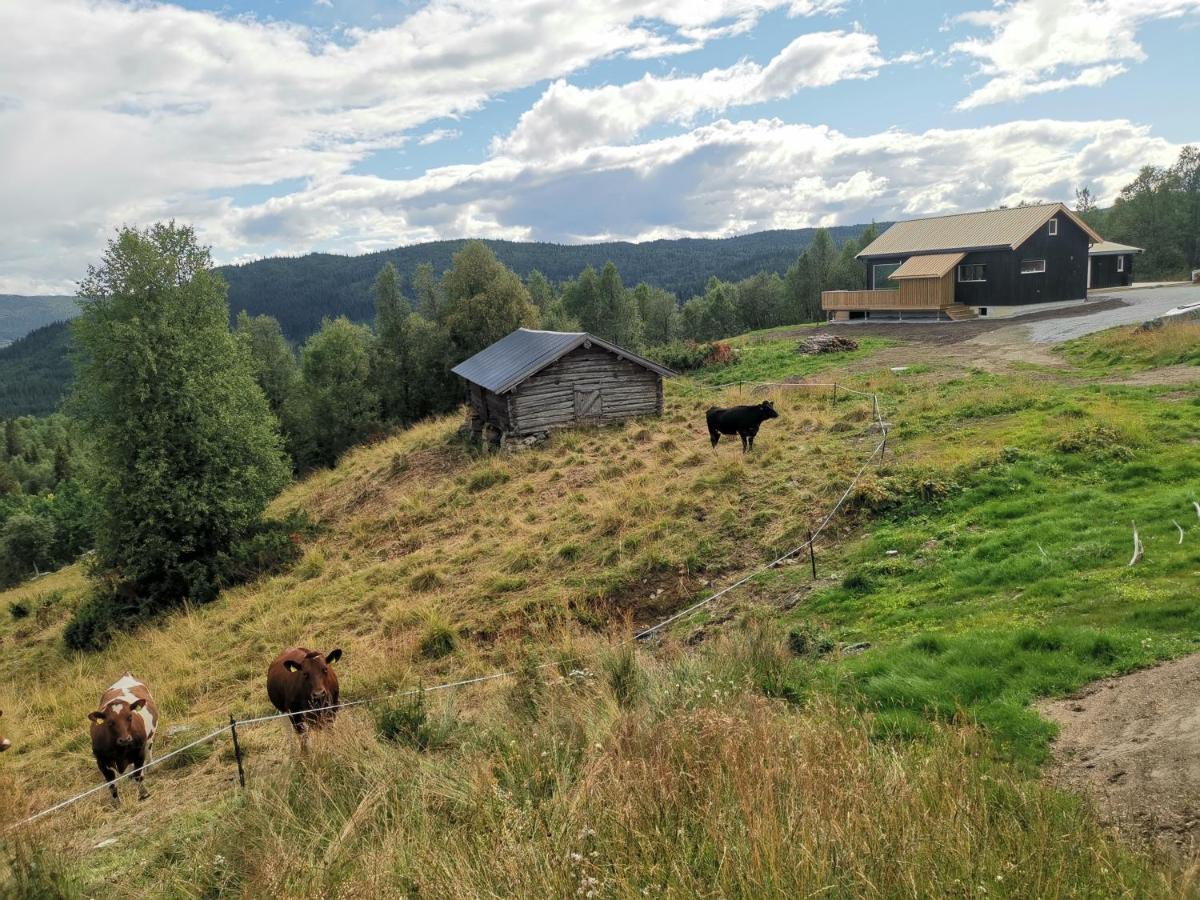 Na Er Vinteren Kommet Til Hallingdal 알 외부 사진