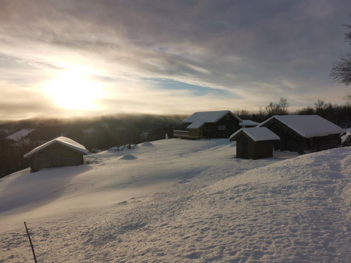 Na Er Vinteren Kommet Til Hallingdal 알 외부 사진