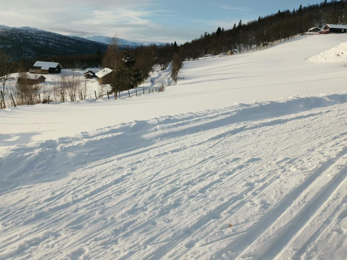 Na Er Vinteren Kommet Til Hallingdal 알 외부 사진