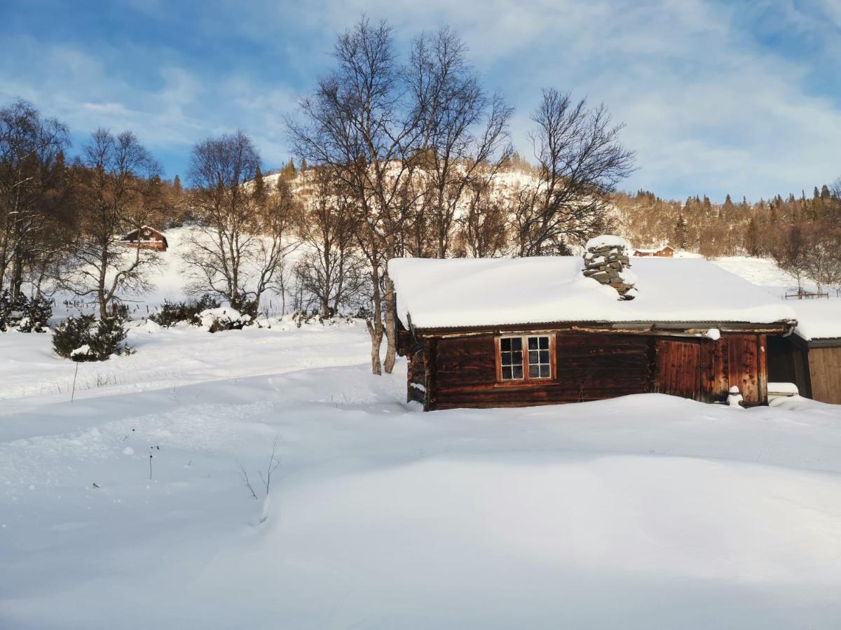 Na Er Vinteren Kommet Til Hallingdal 알 외부 사진