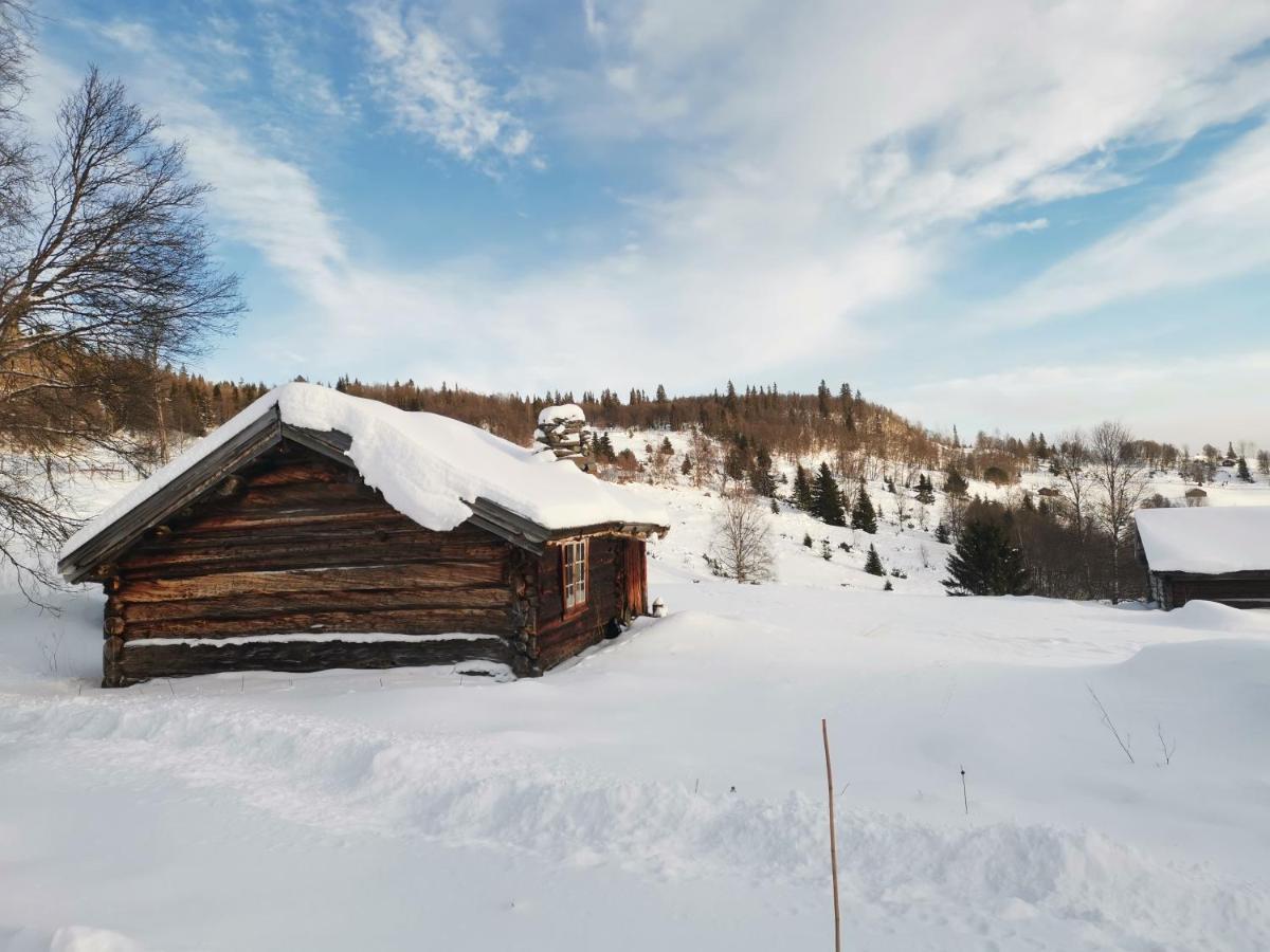 Na Er Vinteren Kommet Til Hallingdal 알 외부 사진