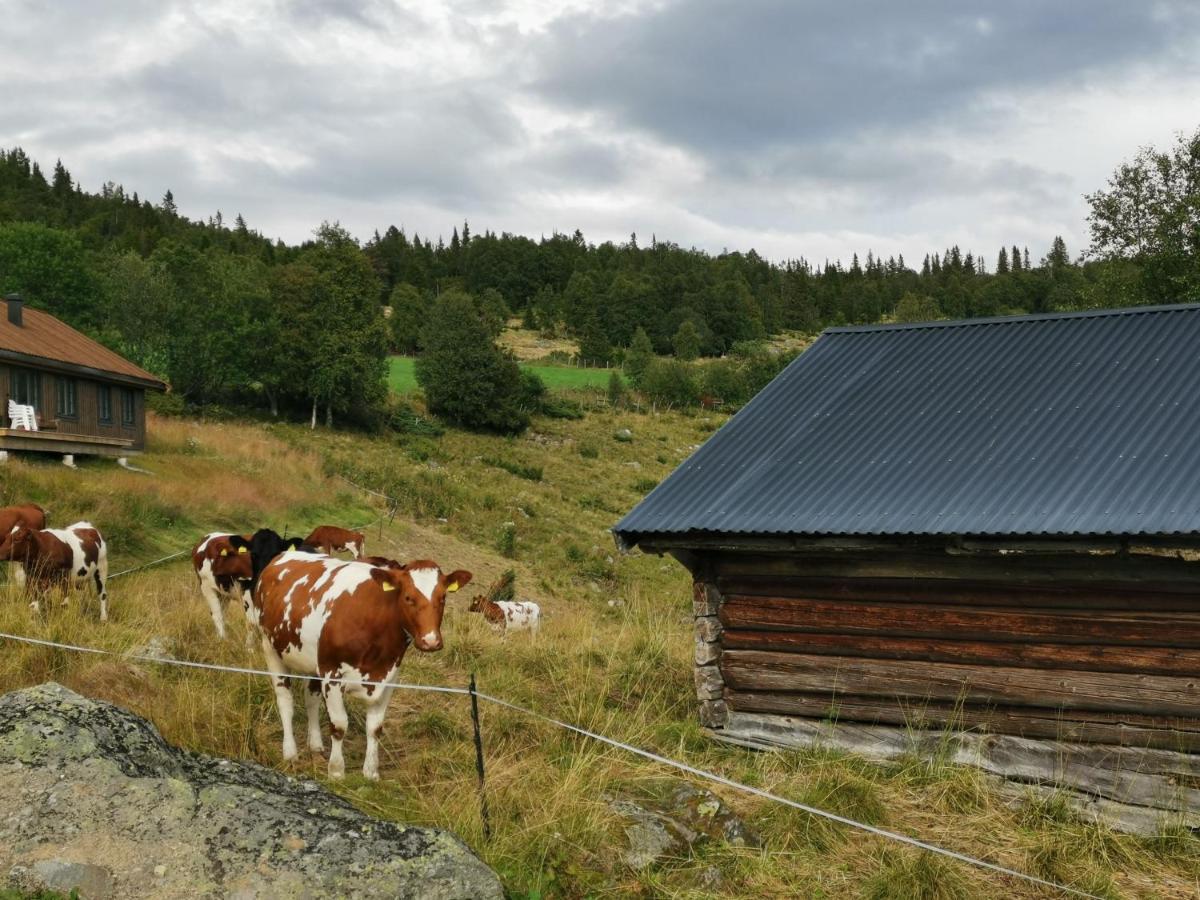 Na Er Vinteren Kommet Til Hallingdal 알 외부 사진